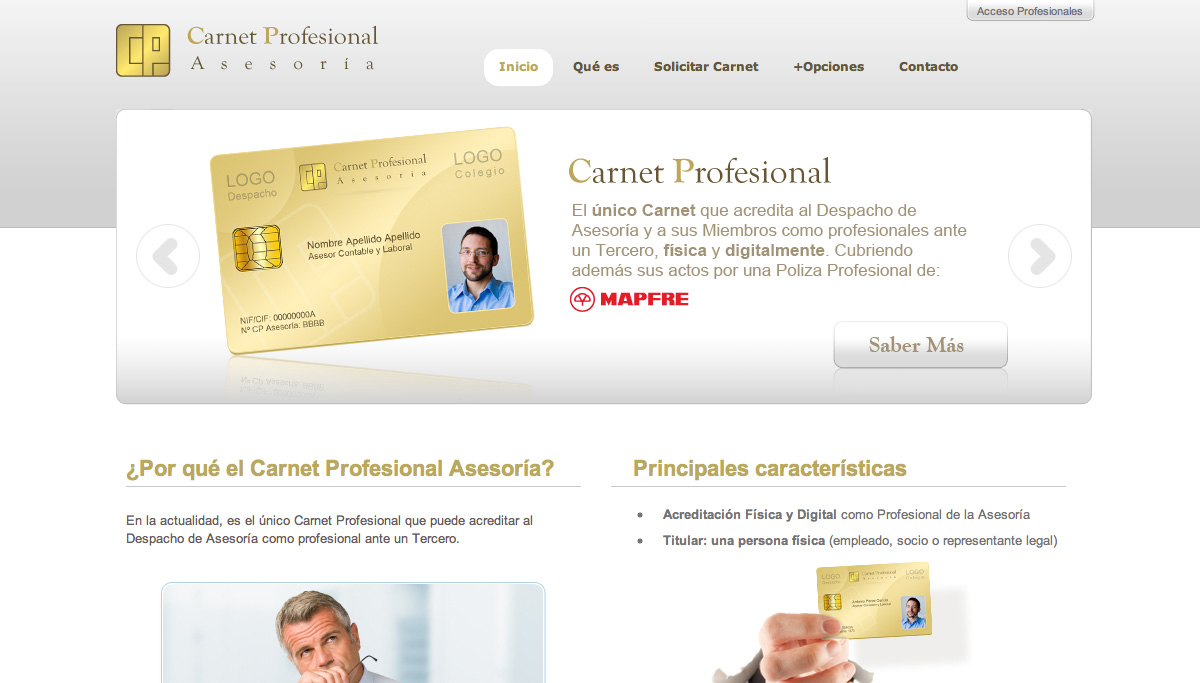 diseño web Carnet Profesional