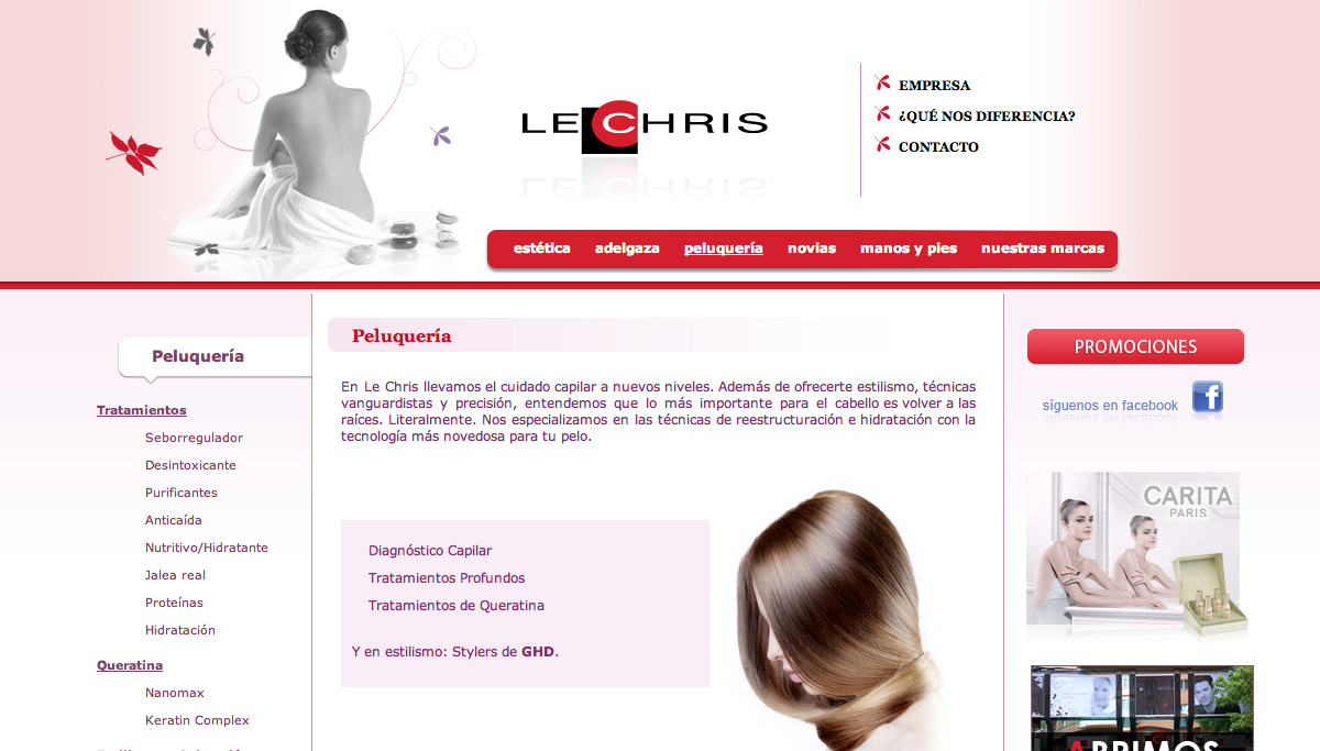 diseño web Lechris