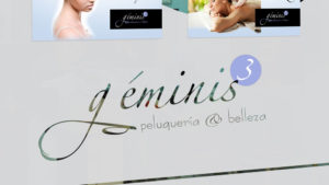 Diseño escaparate vinilos Géminis logotipo