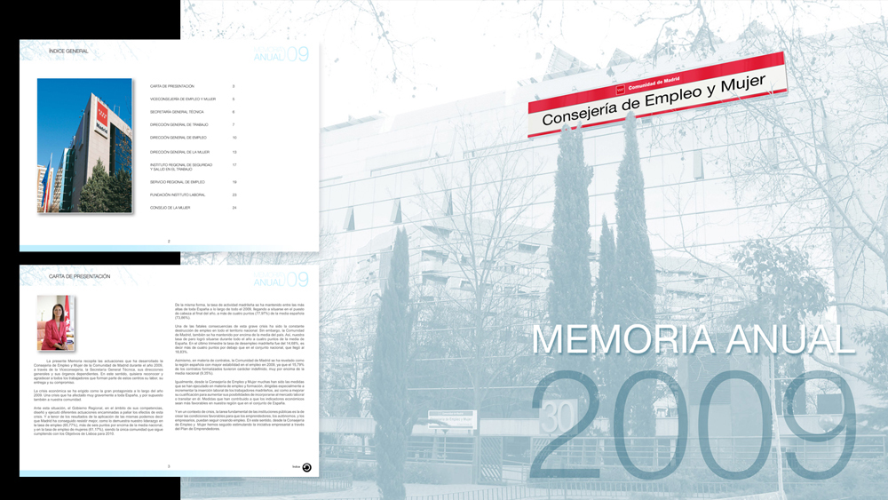 Diseño Memoria Anual CEM